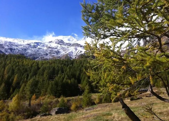 Mikado By Interhome 公寓